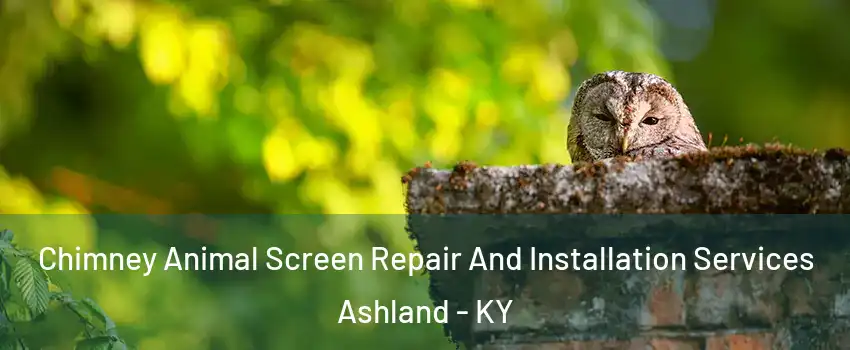  Chimney Animal Screen Repair And Installation Services Ashland - KY