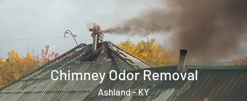  Chimney Odor Removal Ashland - KY