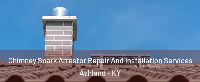  Chimney Spark Arrestor Repair And Installation Services Ashland - KY