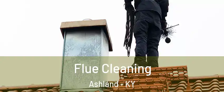  Flue Cleaning Ashland - KY