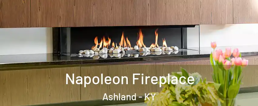  Napoleon Fireplace Ashland - KY